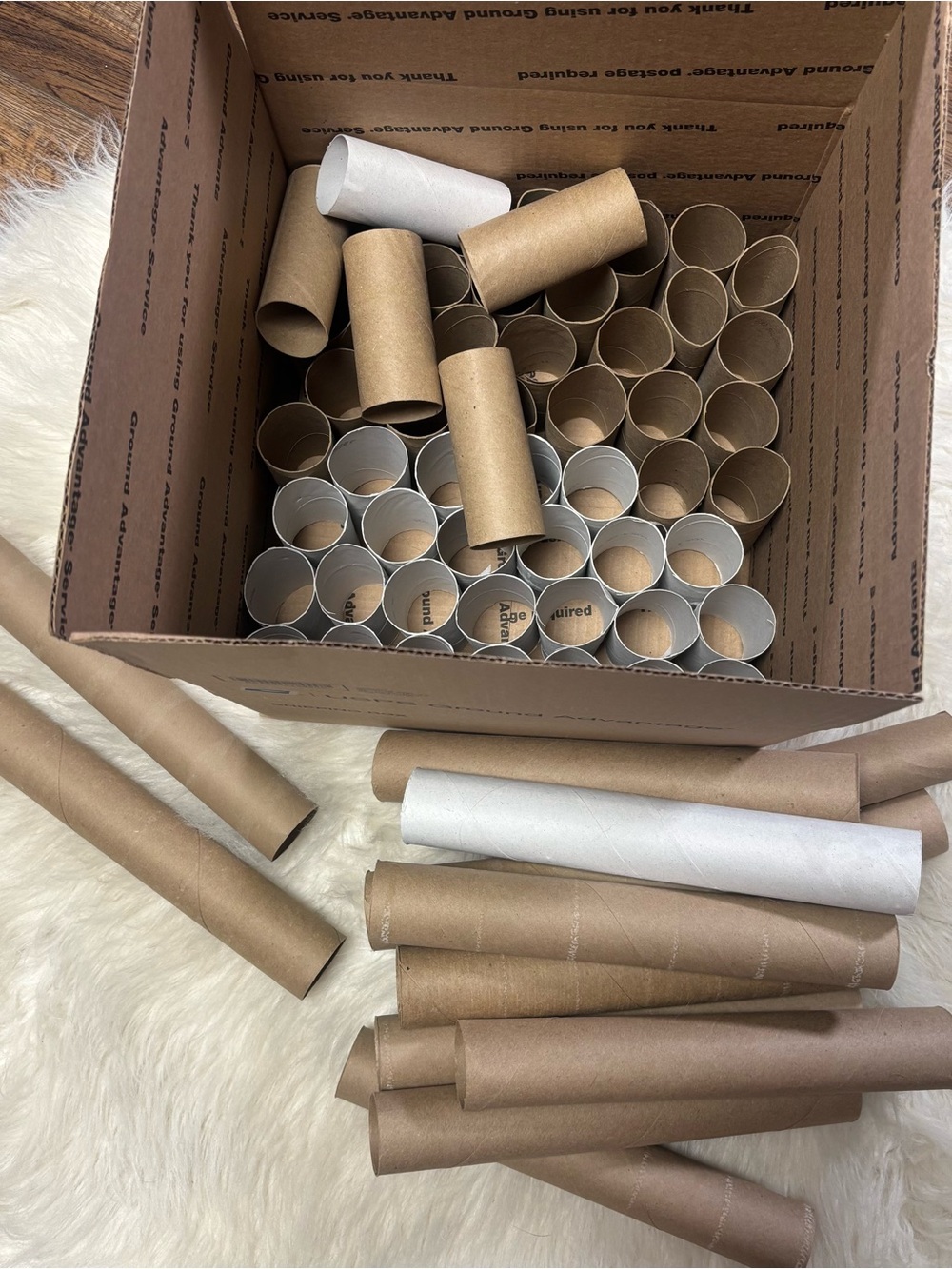 Cardboard Craft Tubes from Toilet Paper (55) and Paper Towels (13)